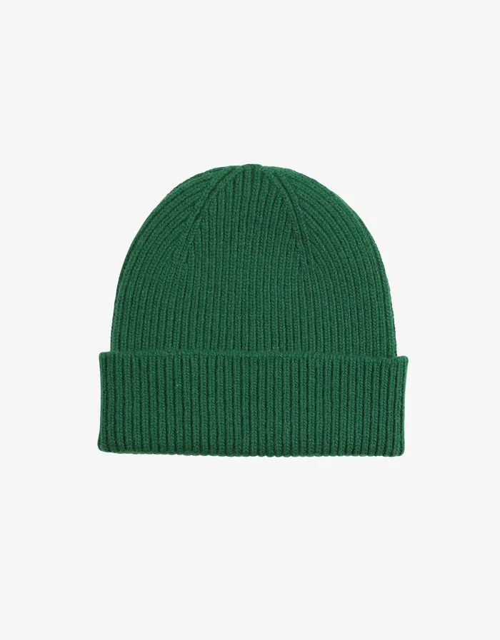 Beanies Merino Wool Beanie 8211 Kelly Green 8211 Colorfulstandard Men