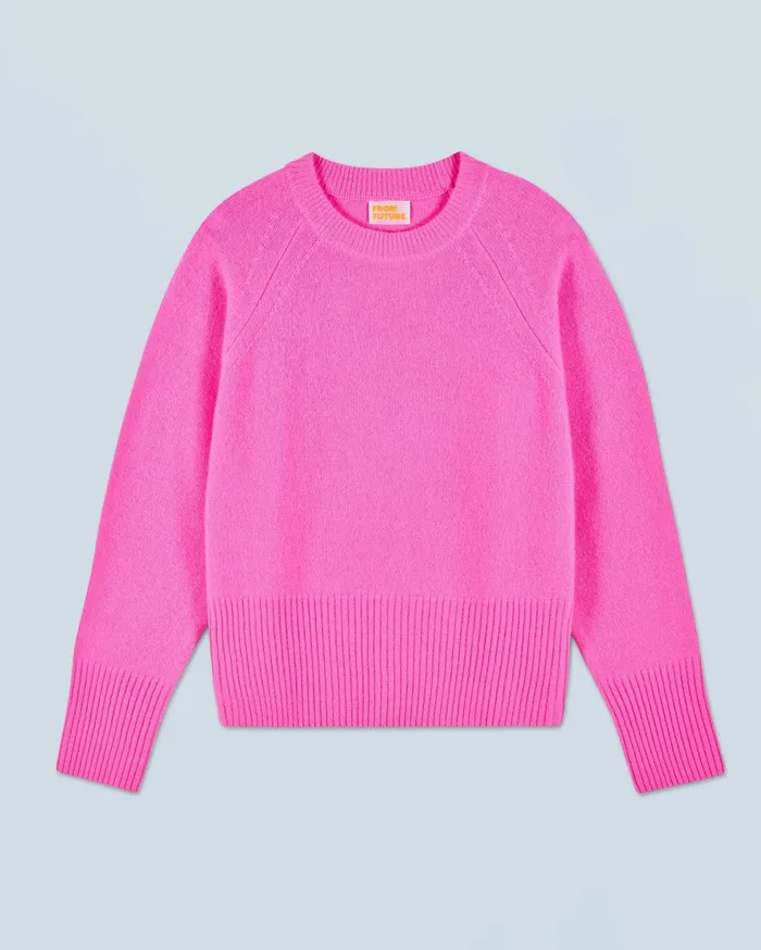 From Future Cashmere Sweaters Women Crewneck Sweater Dreamy Pink