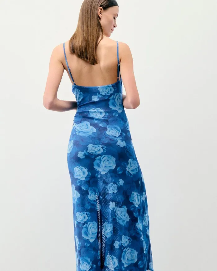 From Future Dresses and Jumpsuits Women Long Mesh Dress With Fine Straps Romantic Roses