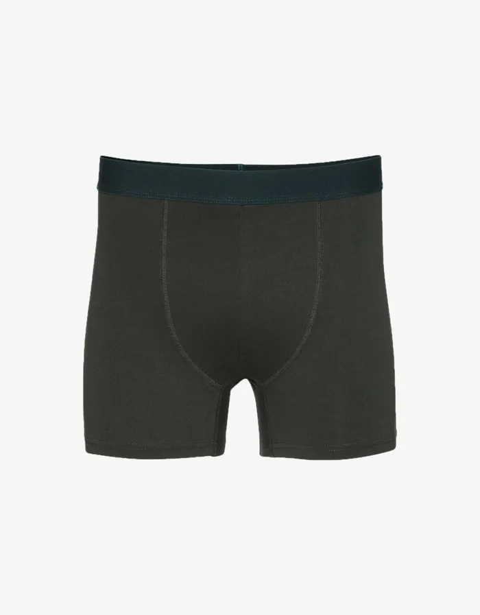 Men Classic Organic Boxer Briefs Hunter Green Colorful Standard Underwear