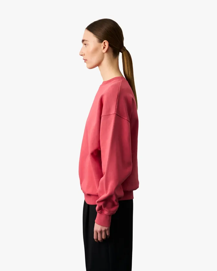 Organic Oversized Crew 8211 Powder Blue Women Crewneck Sweatshirts Colorfulstandard