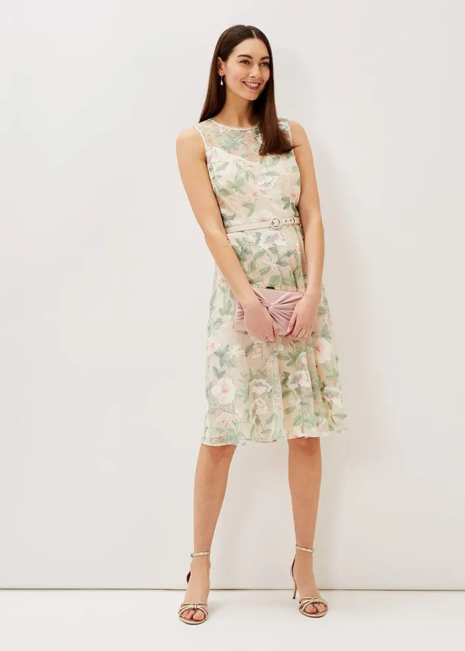 Phase Eight Aria Embroidered Lace Fit and Flare Dress Buttermilk Women Dresses