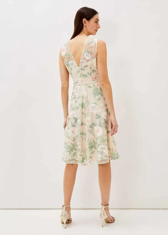 Phase Eight Aria Embroidered Lace Fit and Flare Dress Buttermilk Women Dresses
