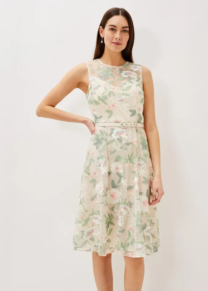 Phase Eight Aria Embroidered Lace Fit and Flare Dress Buttermilk Women Dresses