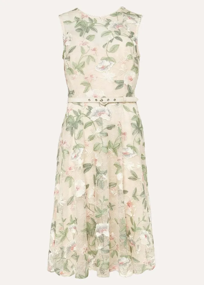 Phase Eight Aria Embroidered Lace Fit and Flare Dress Buttermilk Women Dresses