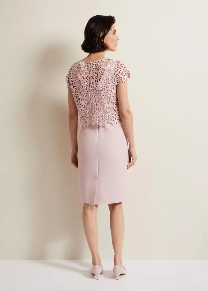 Phase Eight Daisy Lace Midi Dress Pale Pink Women Dresses