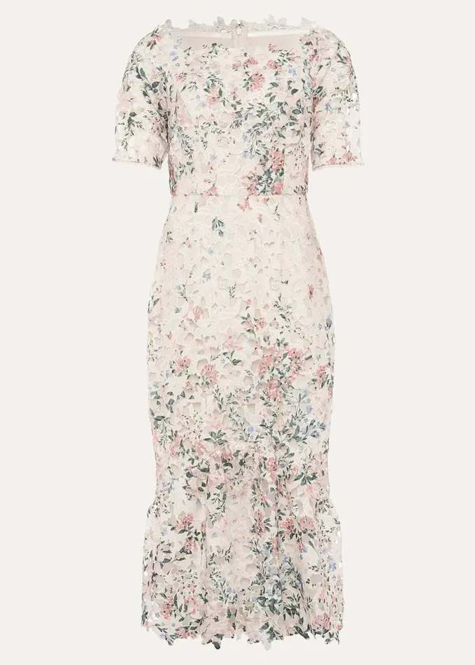 Phase Eight Franky Lace Bardot Midi Dress Ivorymulti Women Dresses