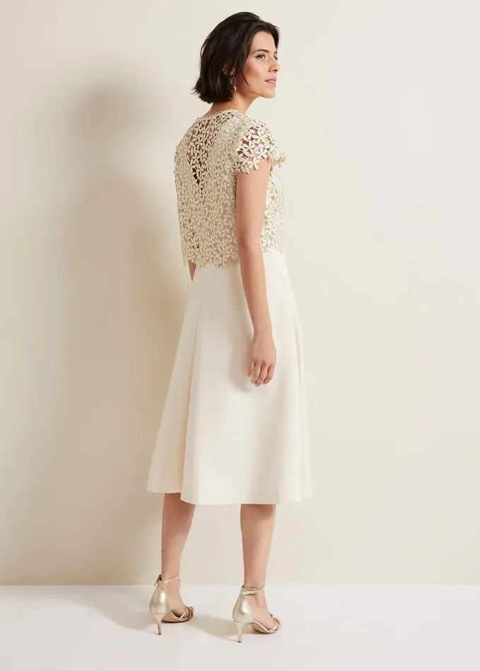 Phase Eight Maxine Lace Fit And Flare Dress Cream Women Dresses