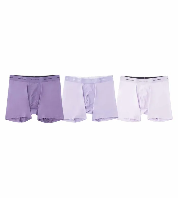 Quick Dry Action Blend Boxer Briefs Lavender Underwear 3 Pack Men Pair Of Thieves Boxer Briefs Quick Dry Action Blend Boxer Briefs Lavender Underwear 3 Pack Men Pair Of Thieves Boxer Briefs