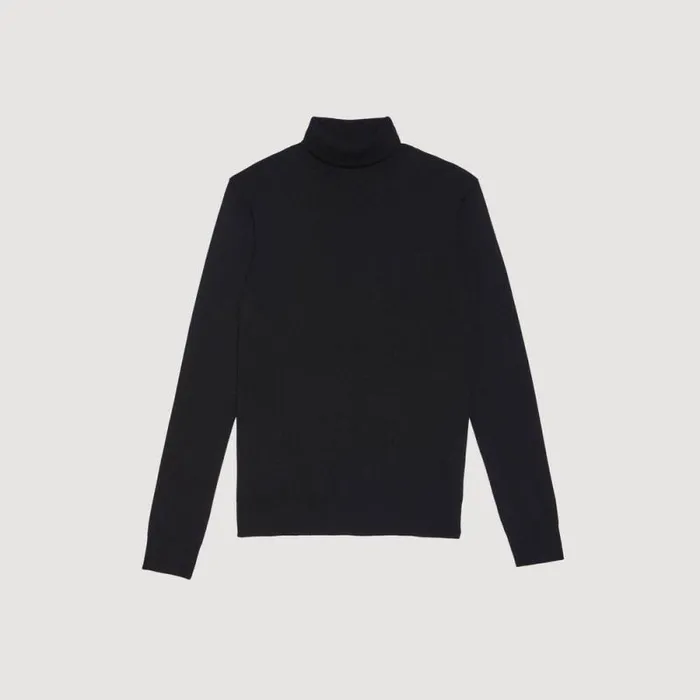 Sweaters and Cardigans Men SANDRO Roll Neck Wool Sweater Black