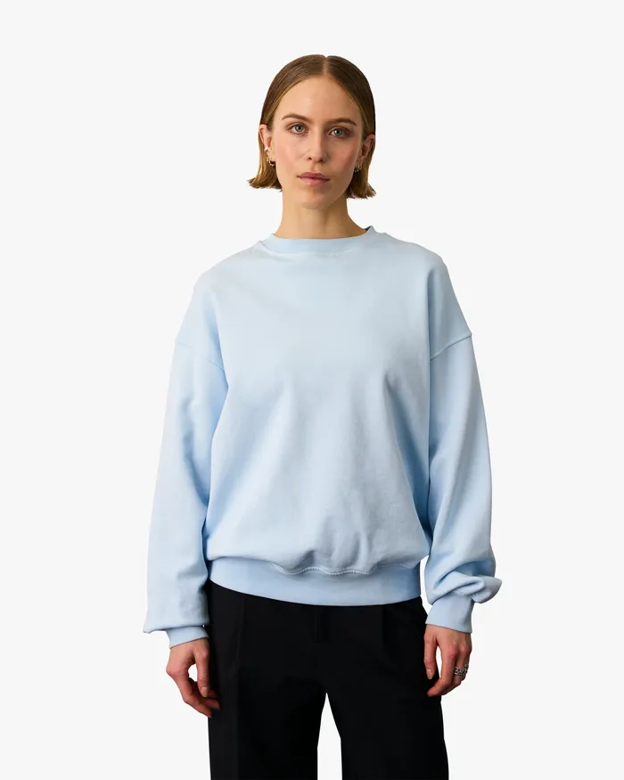Women Colorfulstandard Organic Oversized Crew 8211 Polar Blue Crewneck Sweatshirts