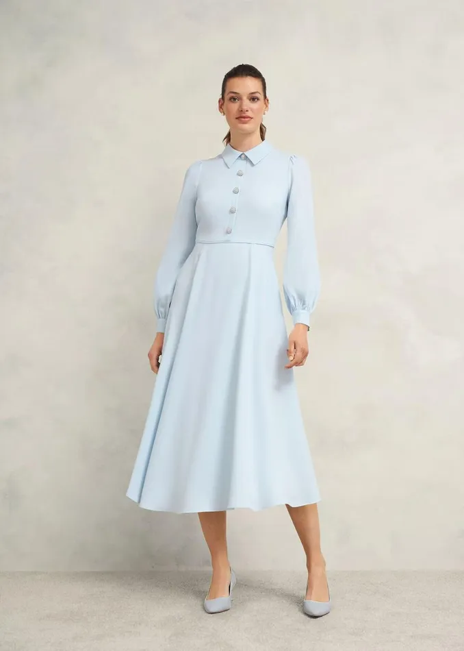Women Dresses and Jumpsuits Hobbs Ayla Dress Pale Blue
