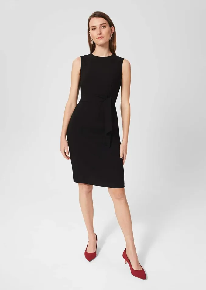 Women Dresses and Jumpsuits Hobbs Mel Dress Black