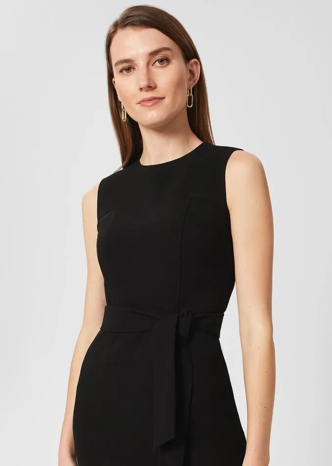Women Dresses and Jumpsuits Hobbs Mel Dress Black