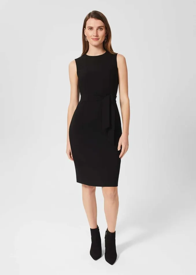 Women Dresses and Jumpsuits Hobbs Mel Dress Black