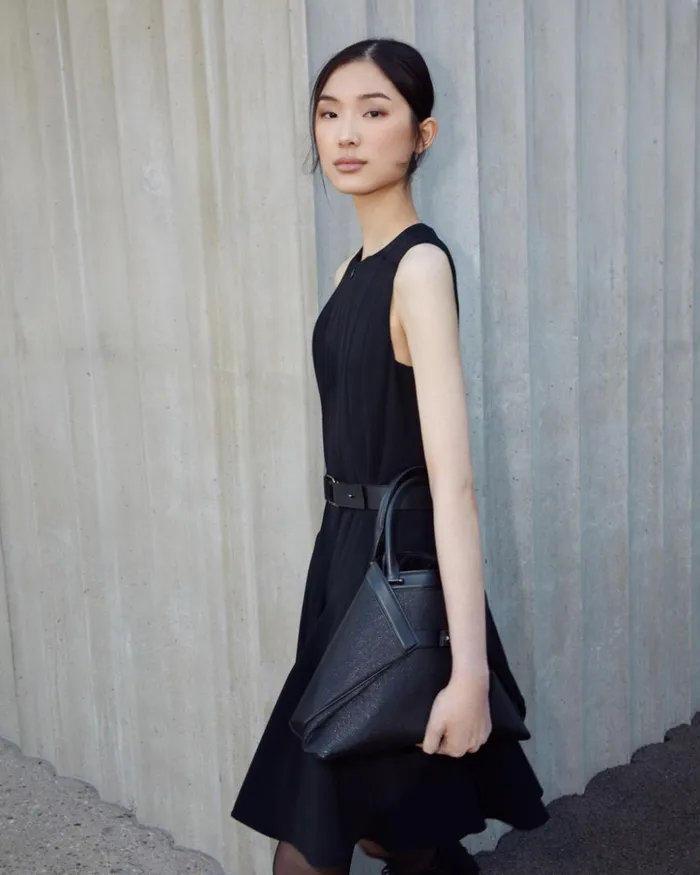 Wool DoubleFace Dress With Skaters Pleats Black Women Akris Dresses