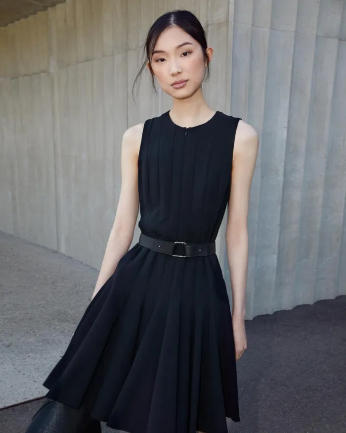 Wool DoubleFace Dress With Skaters Pleats Black Women Akris Dresses
